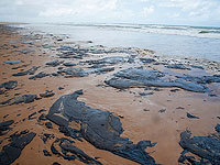 Экологическая катастрофа у побережья Сирии: тонны нефти попали в море
