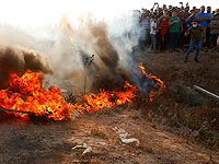 "Огненные шары" из Газы вызвали два пожара на территории регионального совета Эшколь