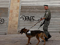 Суд отклонил иск палестинского араба, требовавшего компенсацию за нападение служебного пса во время спецоперации