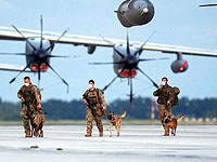 American Humane: американские военные не эвакуировали всех служебных собак из Афганистана