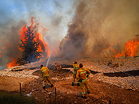 Лесной пожар вспыхнул возле друзской деревни Магар