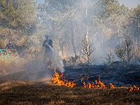 Лесной пожар к востоку от Хайфы, перекрыта 781-я трасса