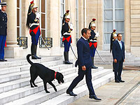 Le Figaro. Популярность политика растет, как только он показывает себя с домашним животным