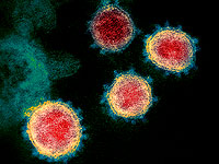 Исследования указывают на лабораторное происхождение нового коронавируса