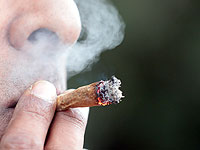 Законопроект о лечебной марихуане утвержден межминистерской комиссией по законодательству