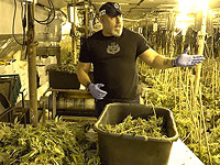 Под Ришон ле-Ционом обнаружен "туннель" для выращивания марихуаны. Видео полиции