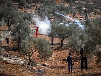 "Красный полумесяц": 44 палестинских араба пострадали в ходе столкновений около Шхема