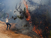 В Сирии казнены 24 виновных в поджоге лесов