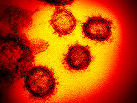 Разведслужбы США: первопричина появления коронавируса никогда не будет установлена