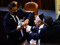 Борьба за плюшевую кошку в зале пленарных заседаний Кнессета