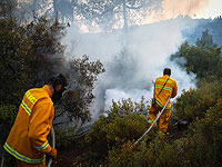 Потушен пожар в лесу Эштаоль