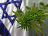 Израильтянка арестована в аэропорту Минска с 6 граммами марихуаны, ей грозит тюрьма