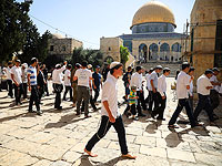 За три месяца Храмовую гору посетили десять тысяч евреев