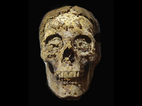 Голова найденной мумии с "золотым языком"