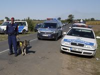 В Венгрии машина с мигрантами врезалась в дом: семь человек погибли, четыре получили травмы