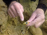 Находка золотого кольца у берегов Кейсарии