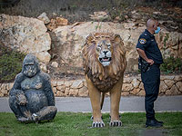 Утечка ядовитых веществ в иерусалимском зоопарке, есть пострадавшие