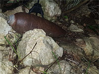 В лесу около Иерусалима был обнаружен неразорвавшийся минометный снаряд