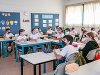 С 9 января в школах и детских садах прекращают действовать программы "Светофор" и "Зеленый класс"