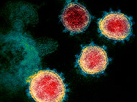 ВОЗ заявила, что "омикрон" не будет последним штаммом коронавируса