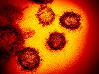 "Дельтакрон": на Кипре обнаружен новый штамм коронавируса