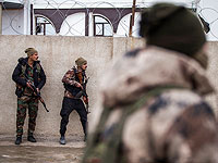 СДС: В Хасаке ликвидированы 246 боевиков "Исламского государства"