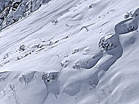 В результате схода лавины в австрийских Альпах погибли четыре человека