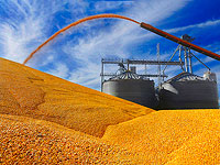 Египетский министр заявил, что Россия и Украина выполнят обязательства по поставкам зерна