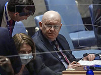 Россия сняла запрос на голосование в СБ ООН по ее резолюции о ситуации в Украине
