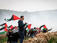 Высшая наблюдательная комиссия арабов Израиля призвала участвовать в протестах по случаю "Дня Земли"