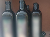 На юге Израиля полиция обнаружила фабрику по производству контрафактного оливкового масла