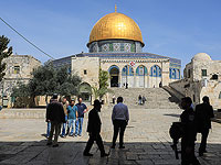 Более семисот евреев посетили Храмовую гору, полиция задерживает арабов, бросавших камни