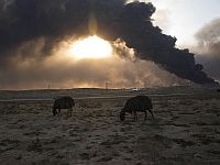 Ракетный обстрел НПЗ на севере Ирака привел к пожару