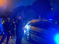 Полиция задержала 25 участников пикета возле дома Шарон Эльрои-Прайс