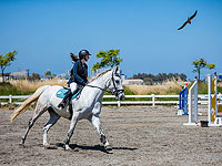 Соревнования по конному спорту в Израиле. Фоторепортаж