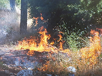 По подозрению в поджоге леса в районе горы Мерон задержан бездомный мужчина
