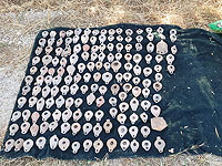 В округе а-Шарон арестован "черный археолог" и изъяты тысячи предметов древности