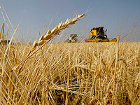 NYT: США обратилась к 14 странам с требованием не покупать краденое украинское зерно