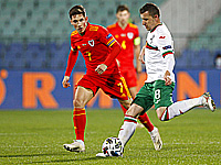 Тодор Неделев (в белом) в матче против сборной Уэльса