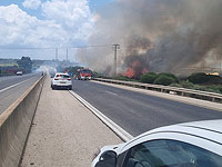 65-я трасса на севере Израиля перекрыта из-за сильного пожара