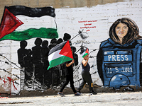 Управление ООН по правам человека:  журналистка Ширин Абу Аклэ была убита израильскими военными