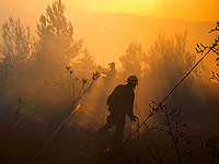 Пожары в Хайфе и в лесу Хоршим; пострадавших нет