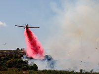 Пожаром уничтожен национальный парк Тель-Гезер