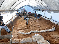 "Здесь пал Иерусалим". Израильские археологи установили место прорыва стены римлянами