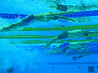 Европейский юношеский олимпийский фестиваль. Израильский пловец завоевал золотую медаль