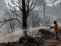 Пожар в лесу Бен-Шемен, на месте работают десятки пожарных расчетов