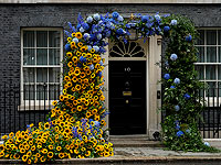 День Украины в Лондоне: флористы украсили вход в резиденцию премьер-министра