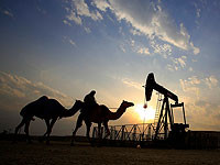 Саудовская Аравия предложила партнерам по OPEC сократить добычу нефти