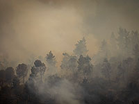 Министерство экологии опубликовало предупреждение об угрозе пожаров