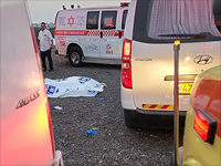 В Бейт-Шемеше под колесами грузовика погиб мужчина